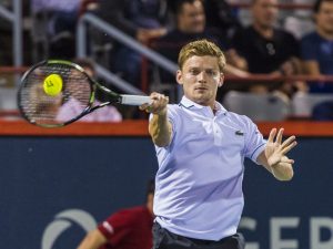 David Goffin. Fotó: pdrocha/Shutterstock.com